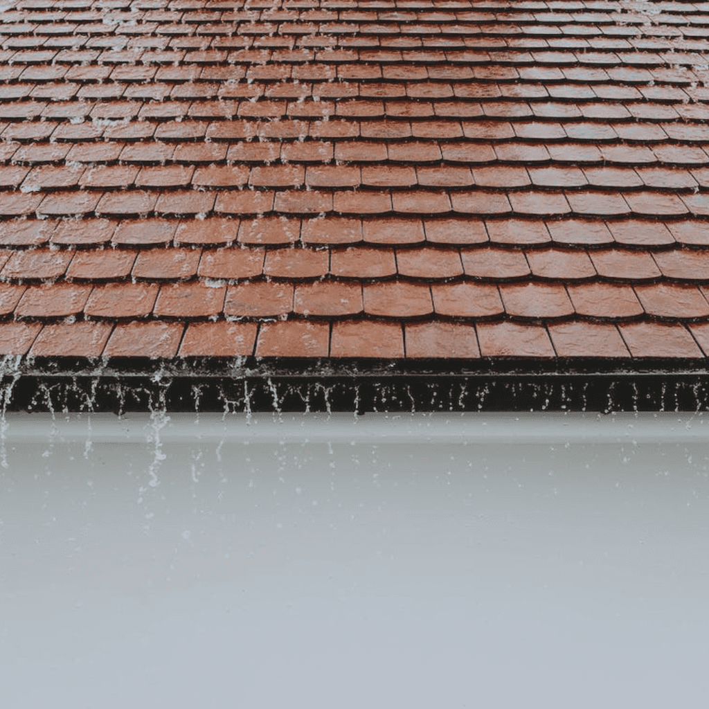 New Roof