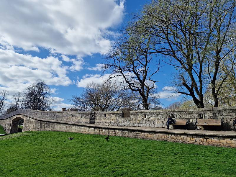 York Walls