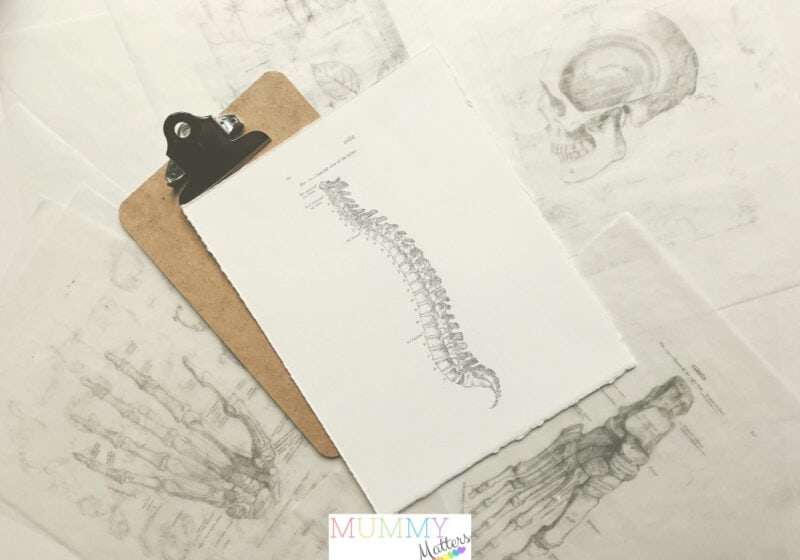 Spine health