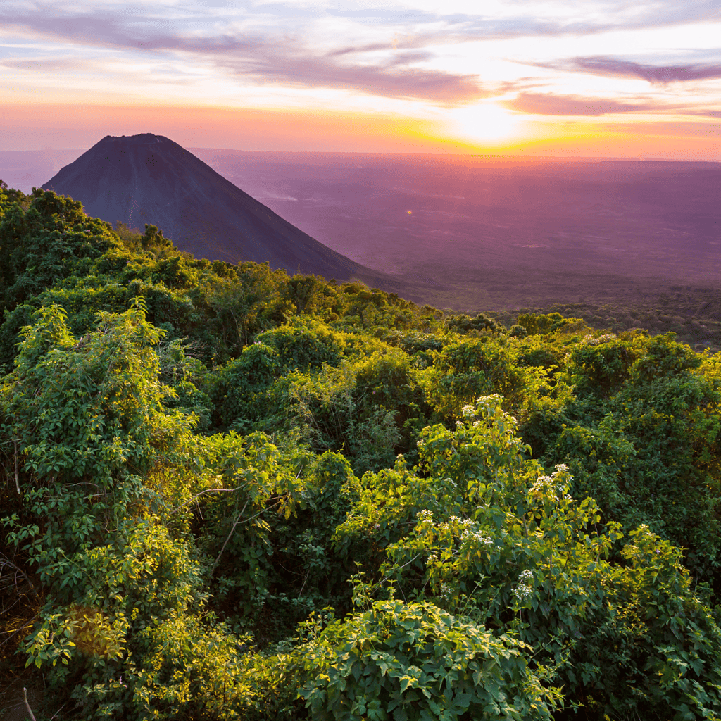 Best National Parks