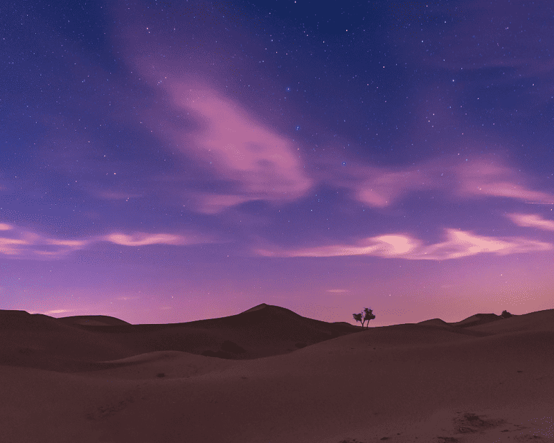 Arabian Nights