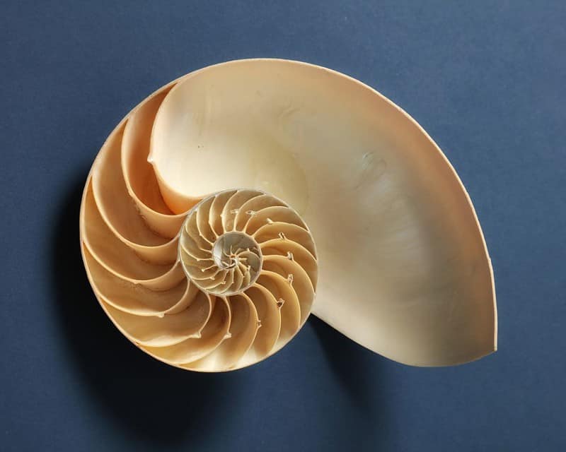 Fibonacci