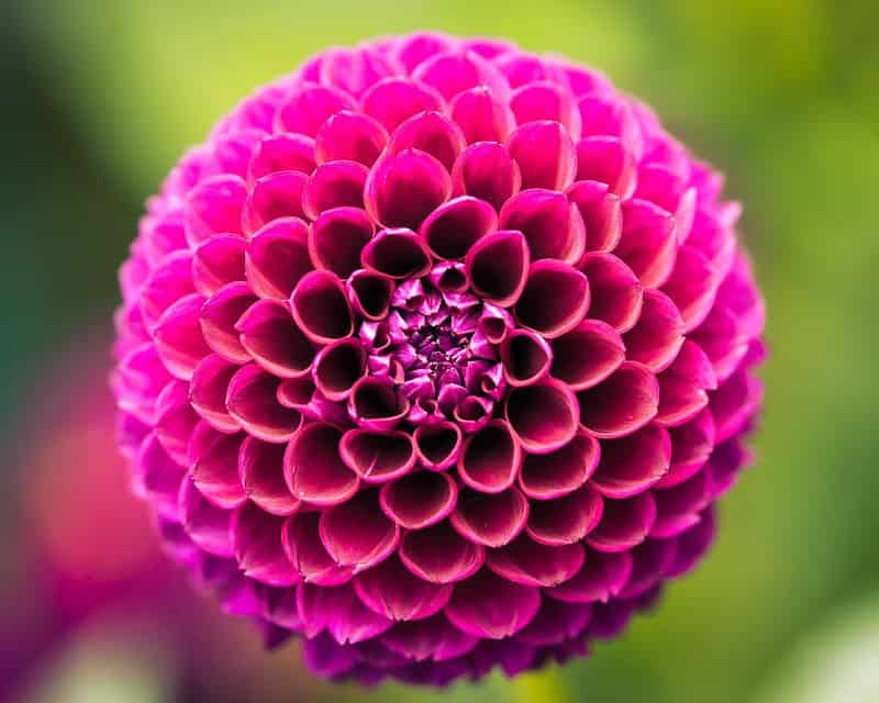 Symmetry