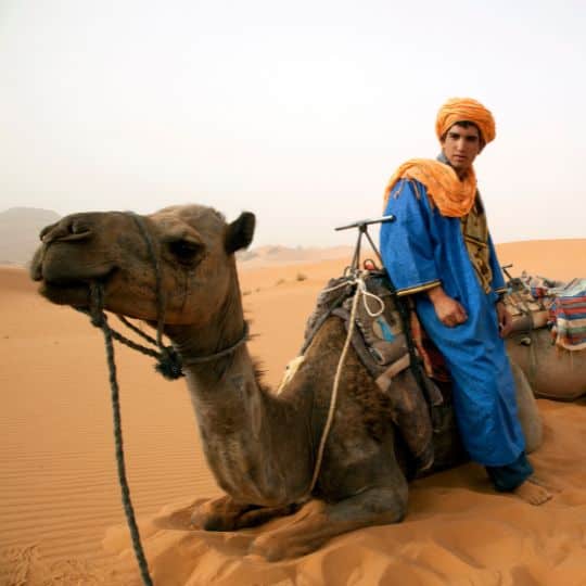 desert safari