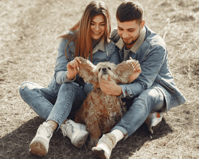Canine Companion