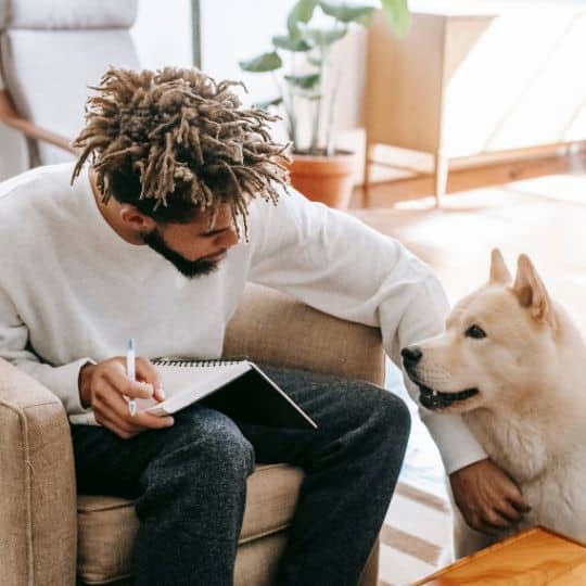 Canine Companion