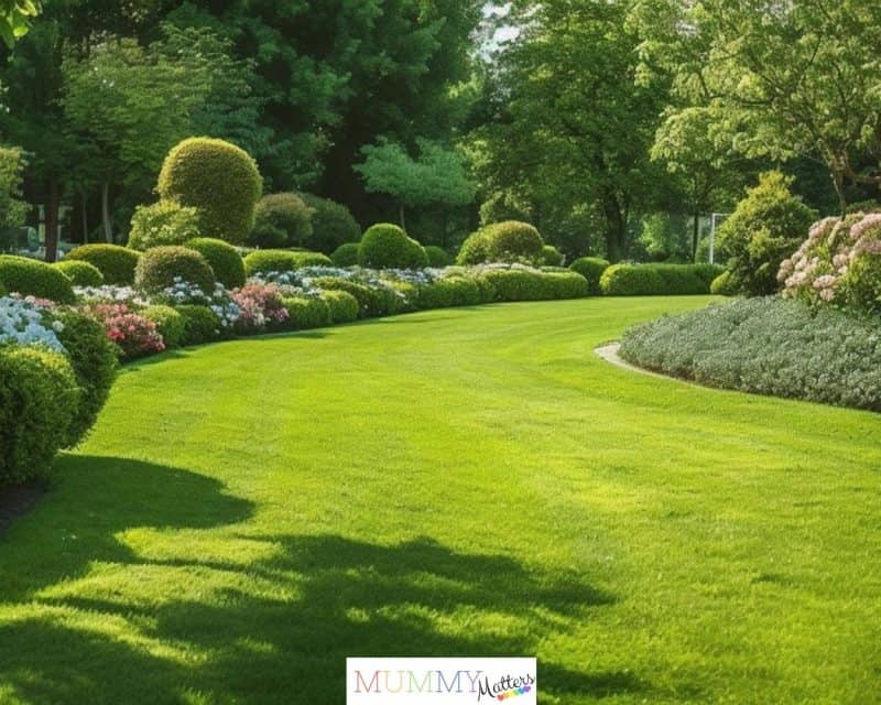 Healthy Grass Growth