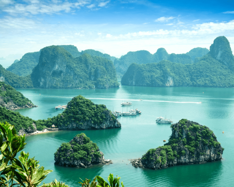 Vietnam Family Tours