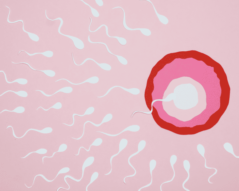 How Fertility Changes
