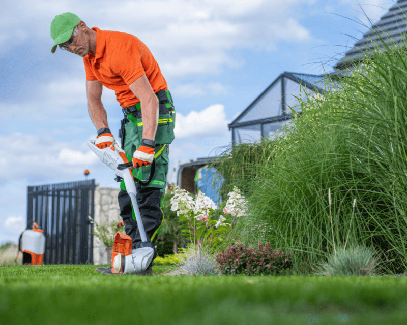 lawn edging