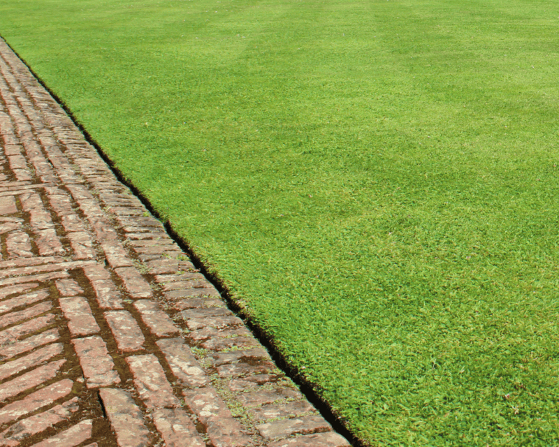 lawn edging