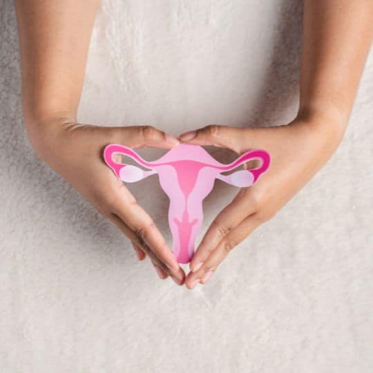 How fertility changes