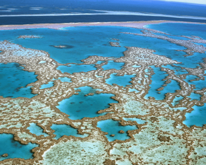 Great Barrier Reef Great Barrier Reef
