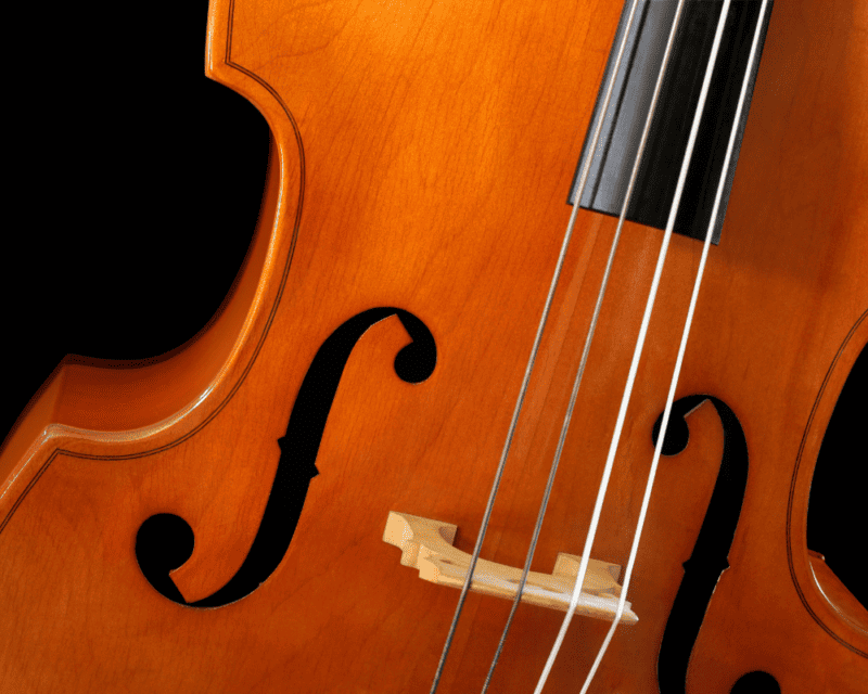 Shed double bass Shed double bass