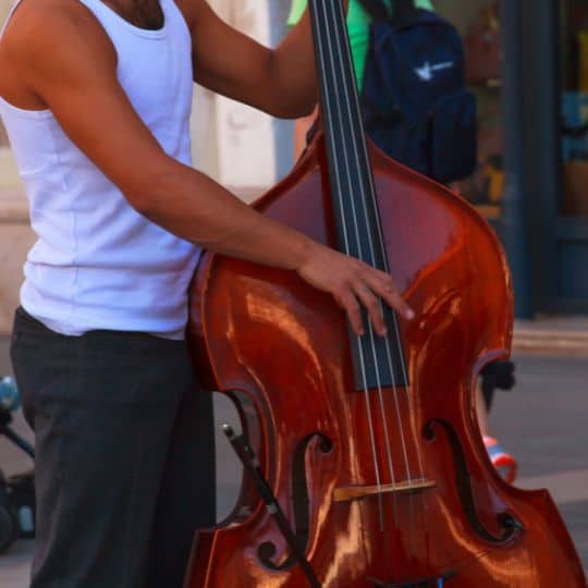Shen double bass