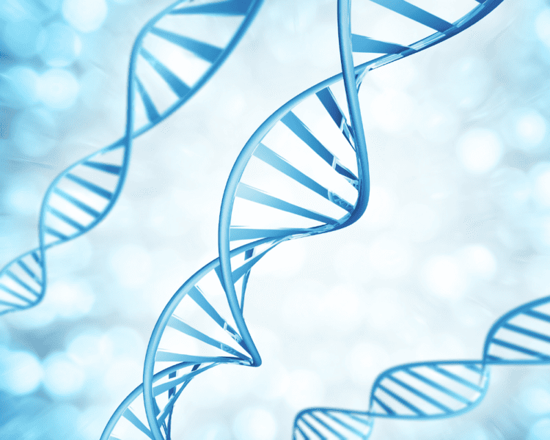 Genetics