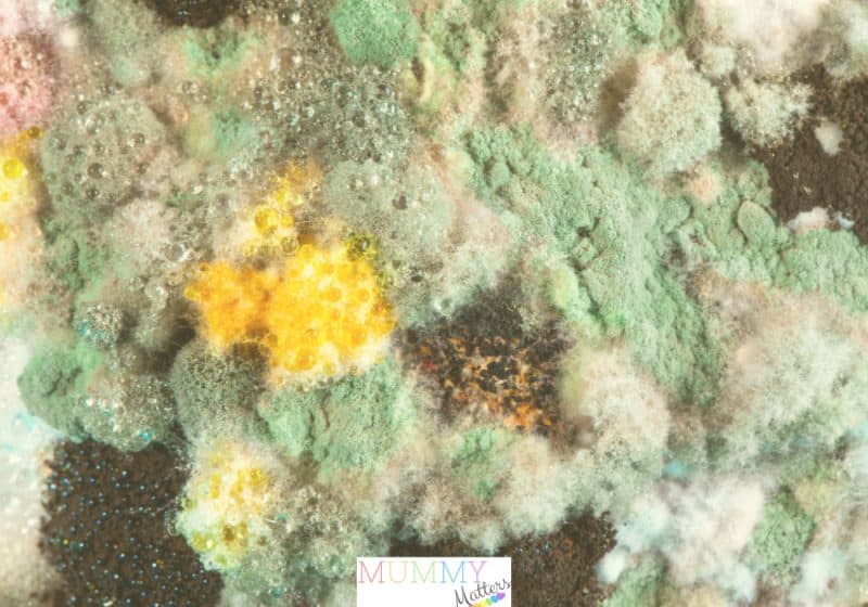 Toxic mold