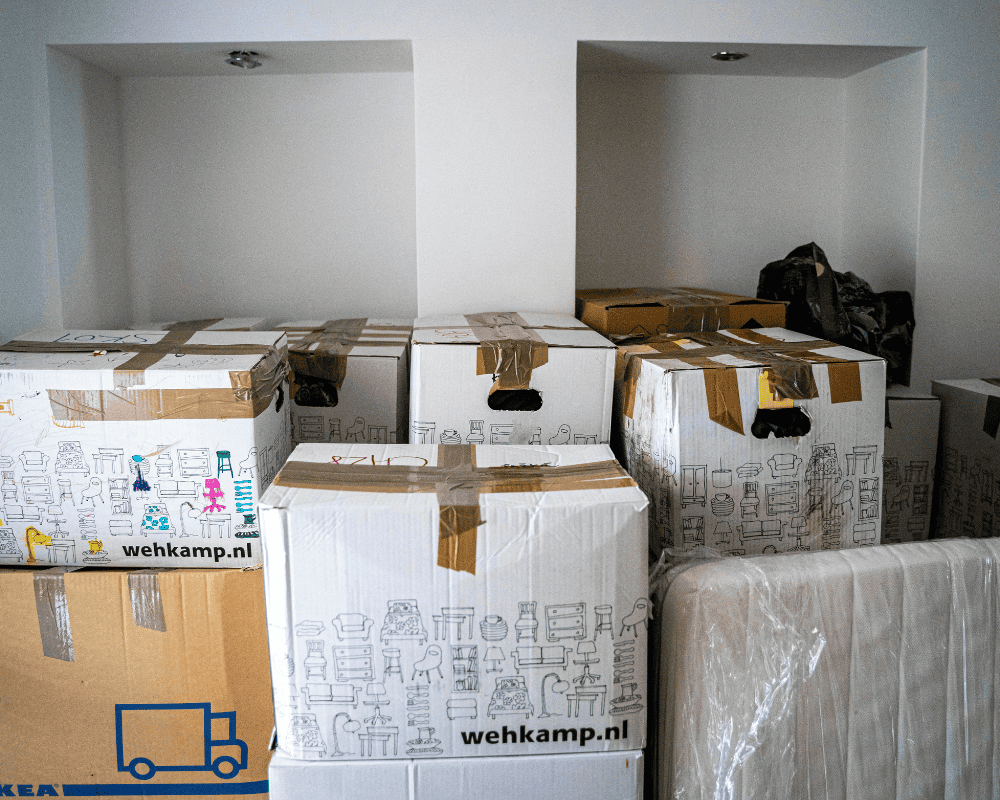 Unwanted Items in Your Home