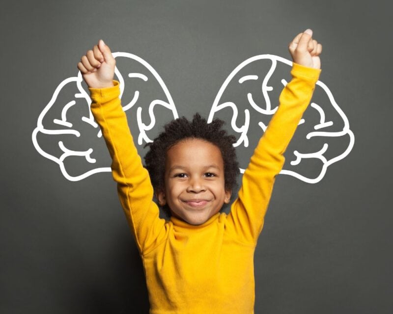 Brain development