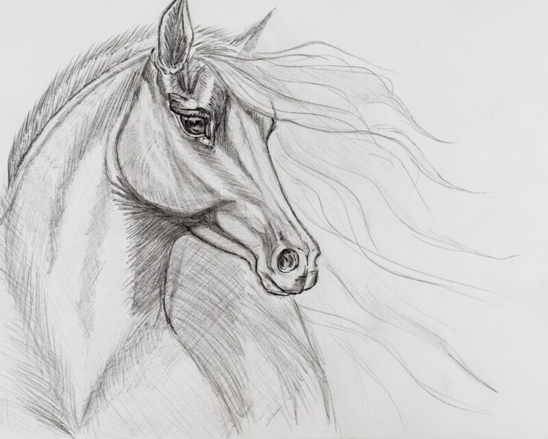 Realistic drawing