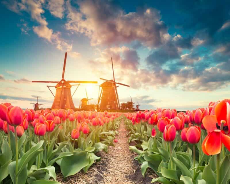 The Netherlands The Netherlands