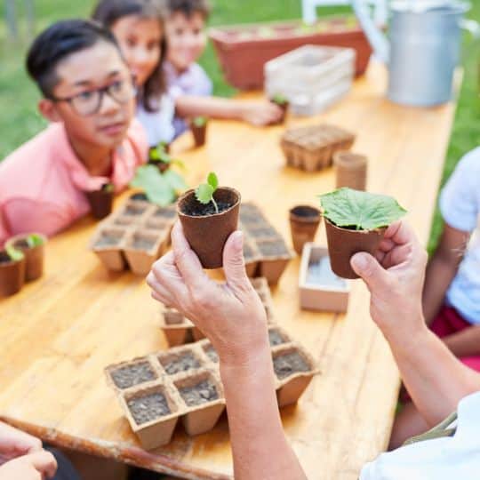 Embrace a sustainable future