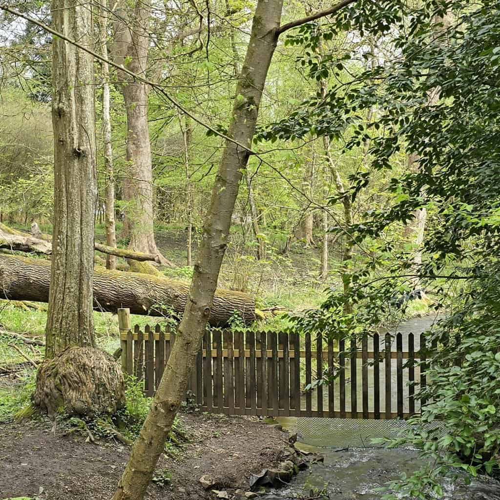 Whitemead Forest Park