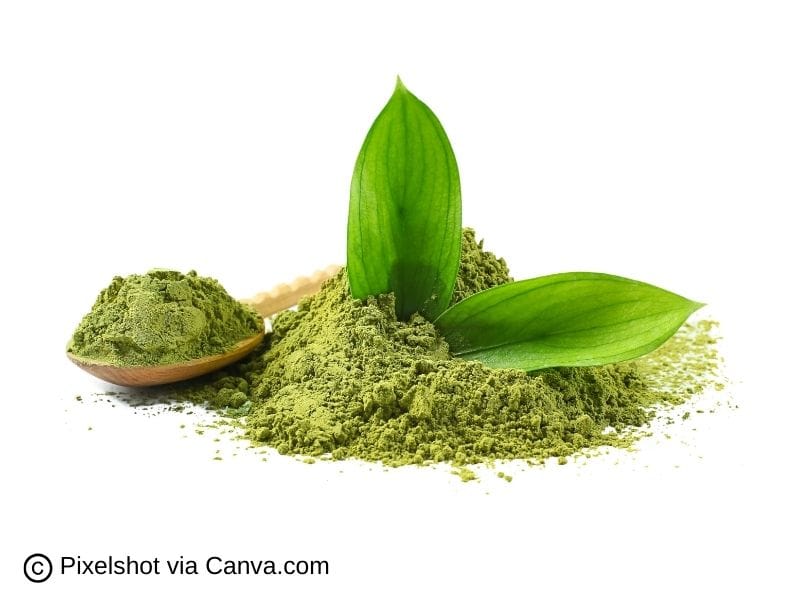 Matcha