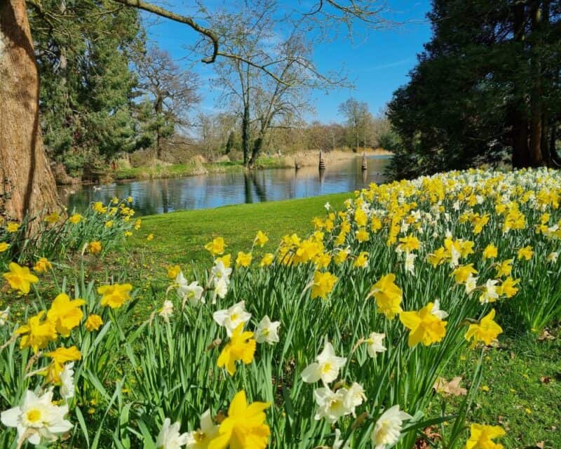 Spring