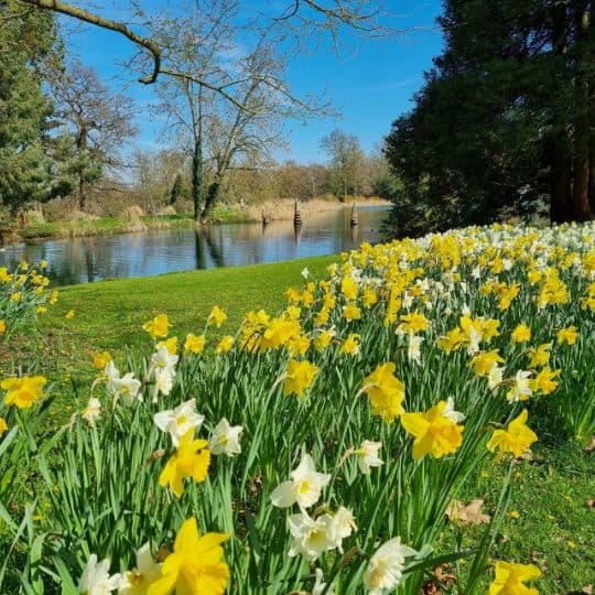 mental health awareness in Spring