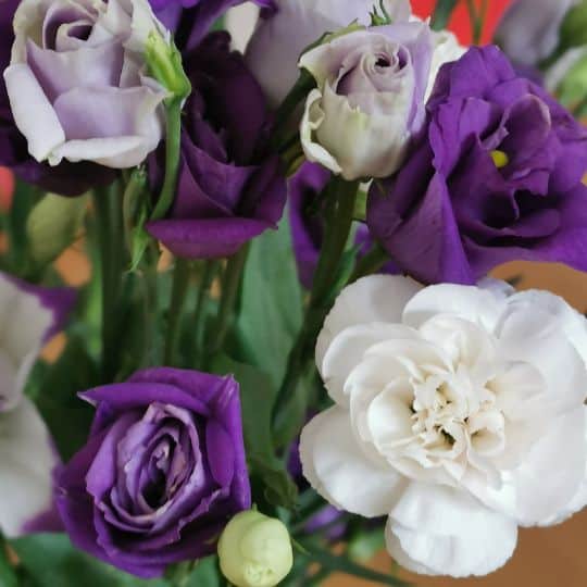Surprise Your Girlfriend with Flowers