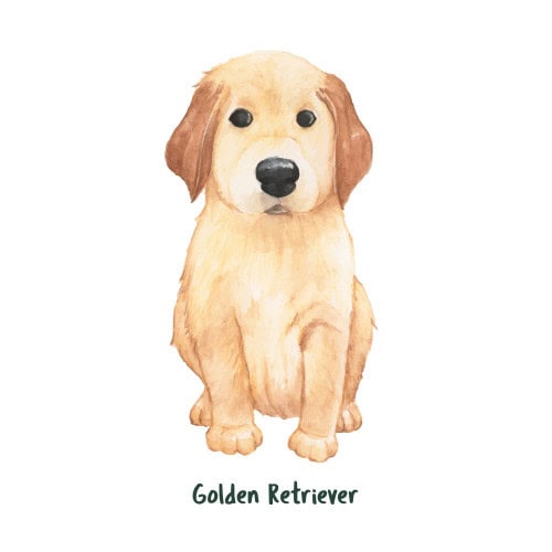 pet portrait