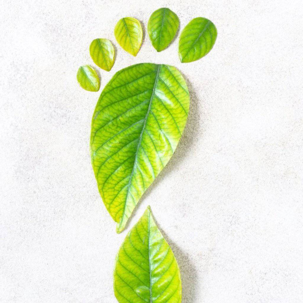 Live more sustainably