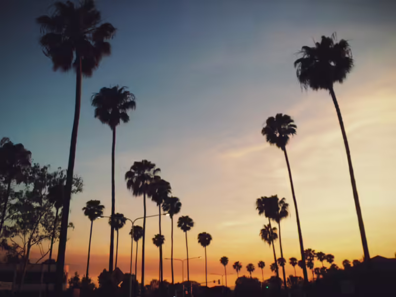 molly martirez 88MqyyeY7Vw unsplash