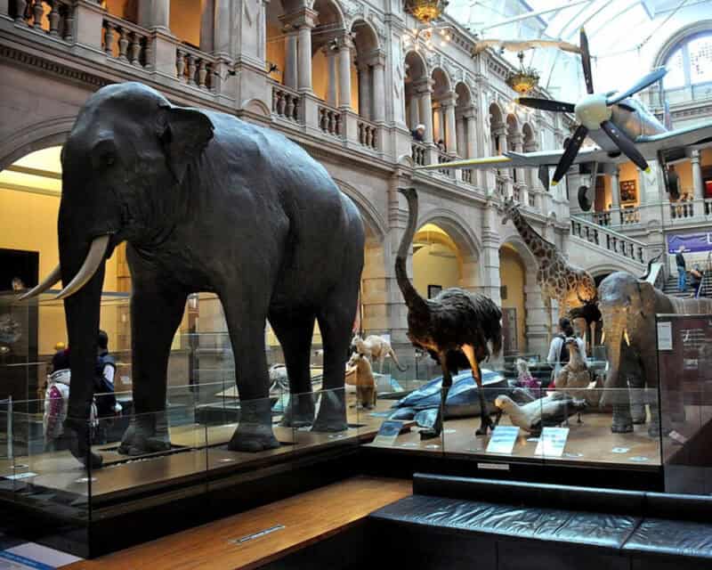 Kelvingrove Art Gallery