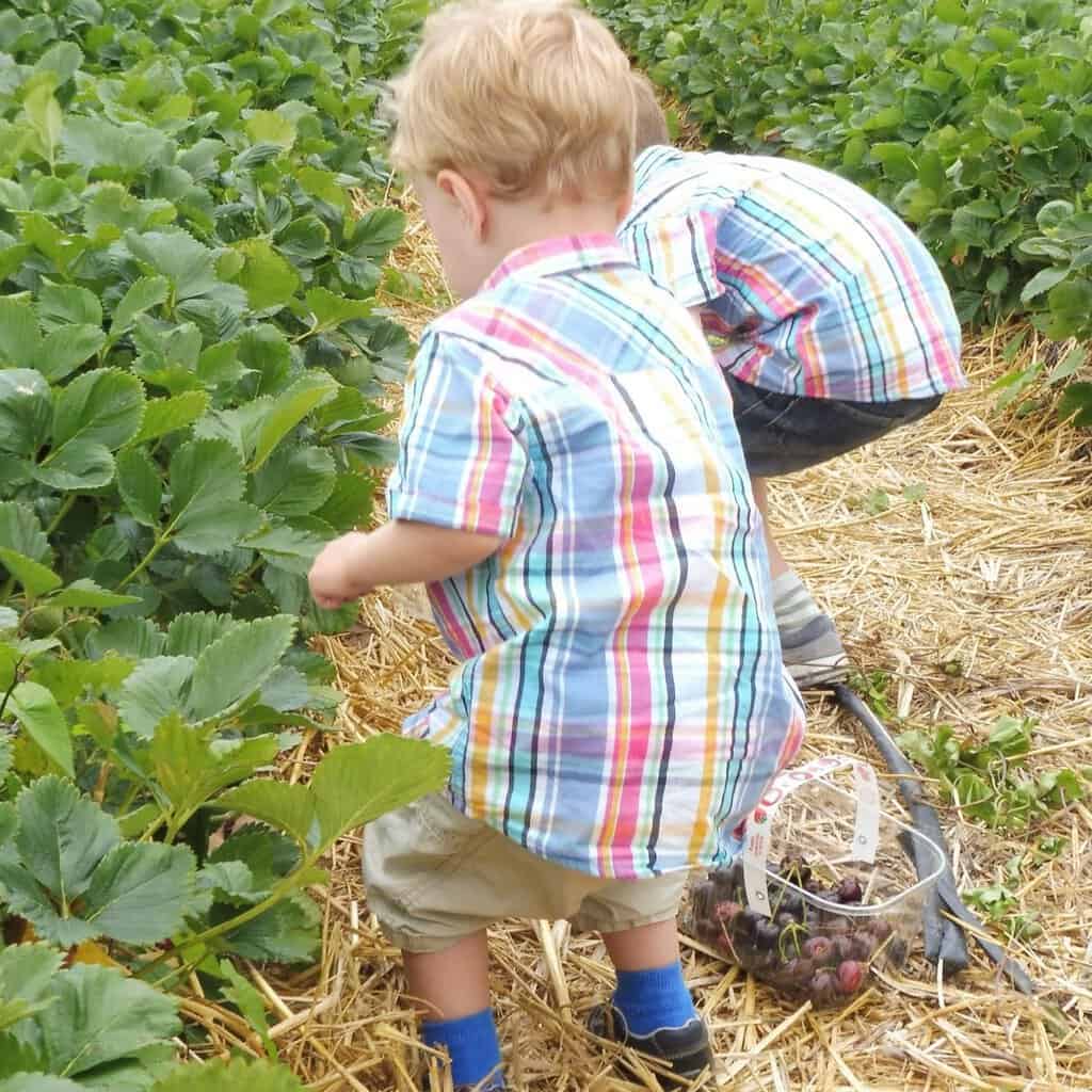 green parenting tips