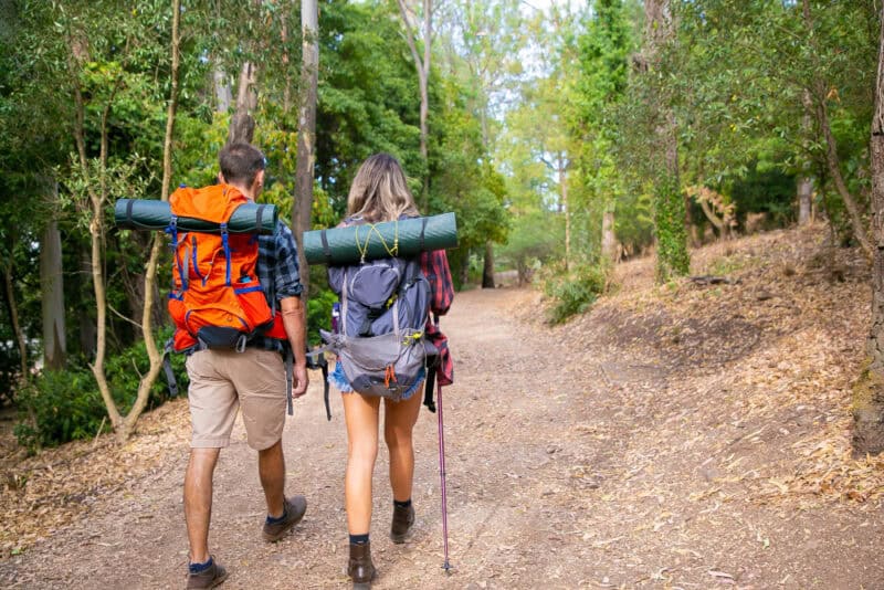 essentials of effortless travel