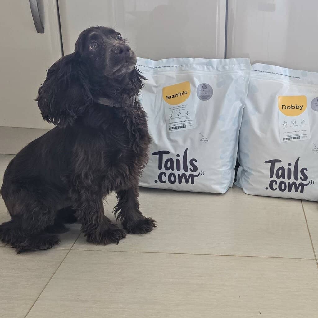 Best Dog Food Subscription UK