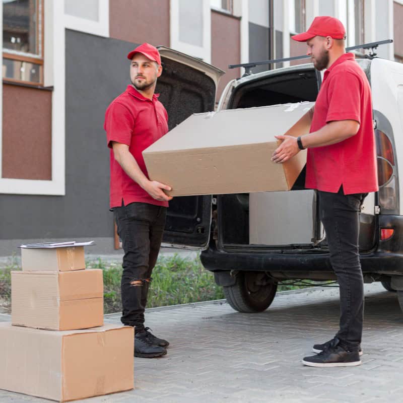 best removalists