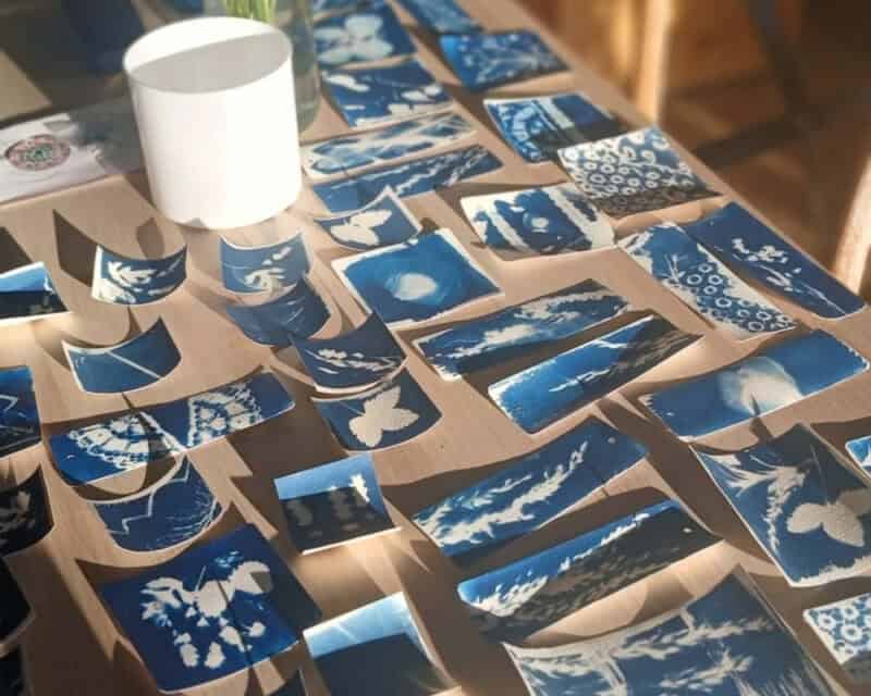 Cyanotype Printing