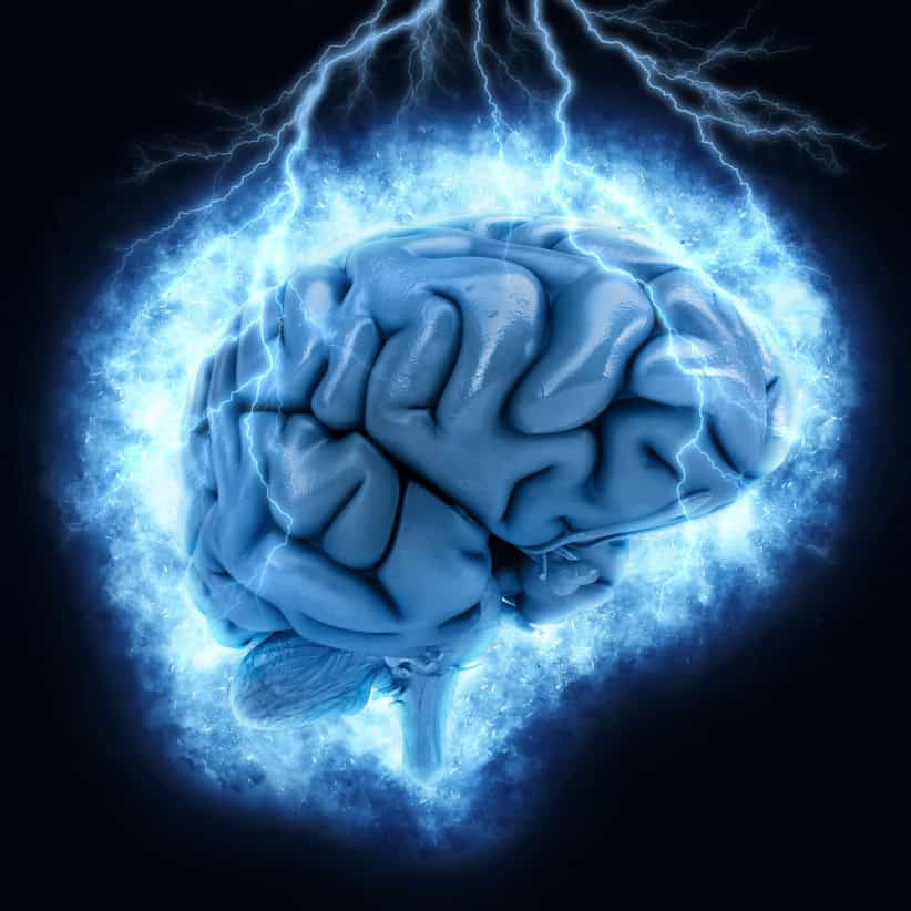 child brain development stages