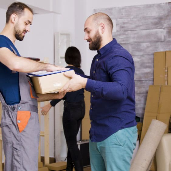 expert removalists