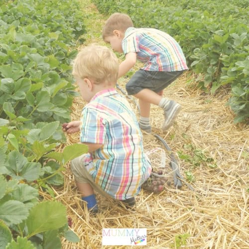 gardening activities for toddlers
