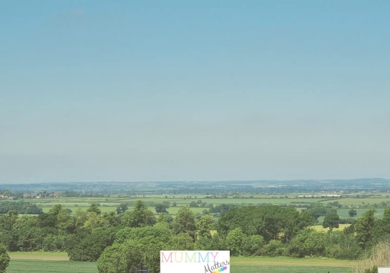 stencil.mummy matters landscape 18