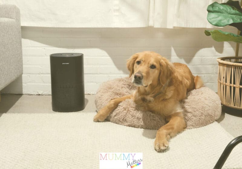 PuroAir pet parenting