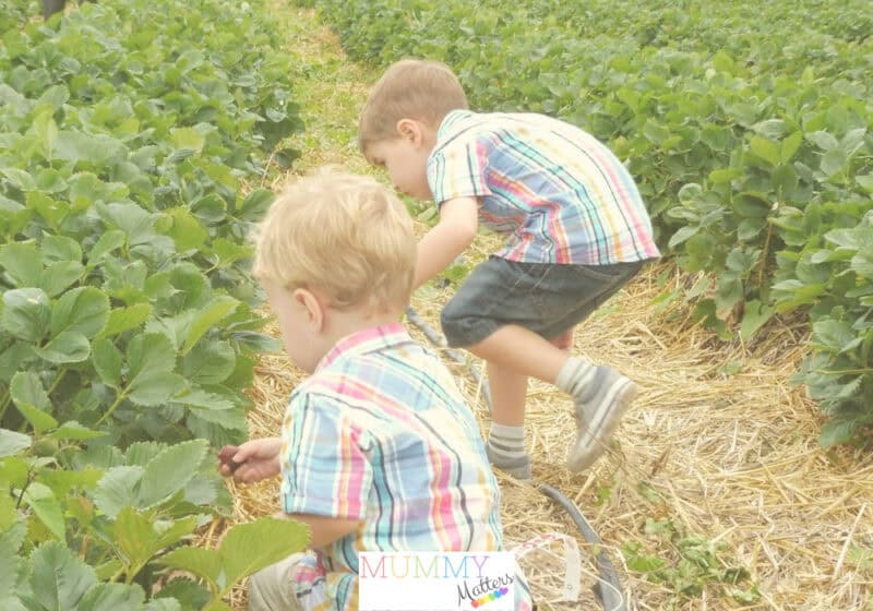 garden ideas for preschoolers