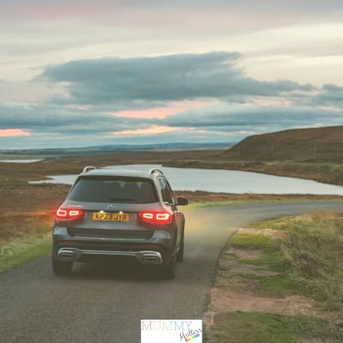 Why We Love Our Cars
