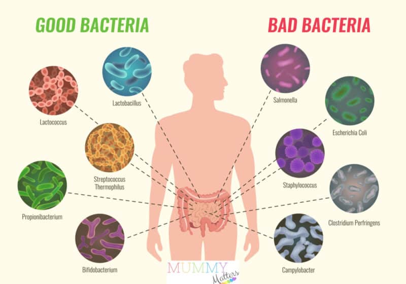 Probiotics