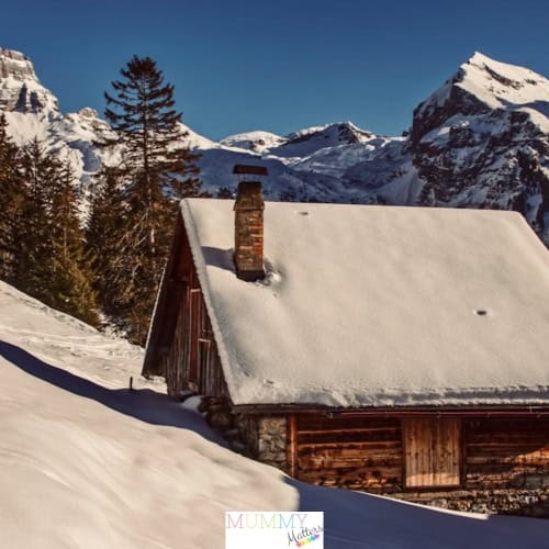 How do homes vary in design around the world
