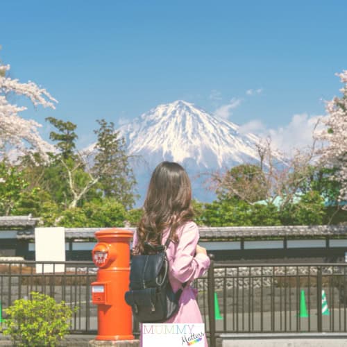Japan Travel mobile eSim